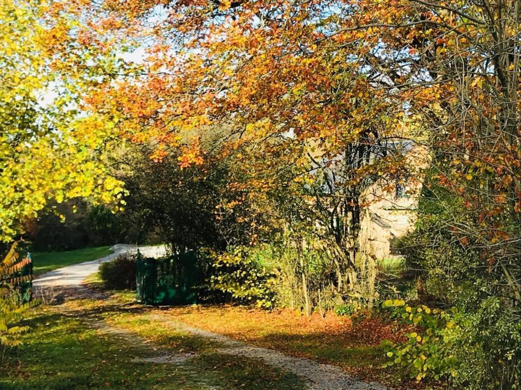 Lovely Meadow House In The Land Of Croix Scaille Gedinne Bagian luar foto