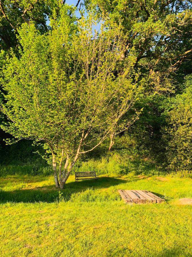Lovely Meadow House In The Land Of Croix Scaille Gedinne Bagian luar foto